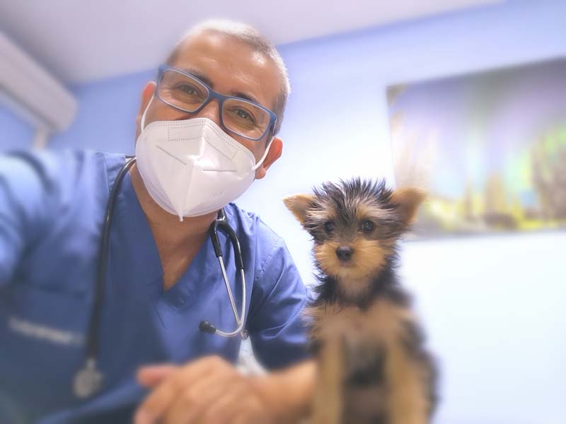 Centro Veterinario El Madroñal veterinario con perro